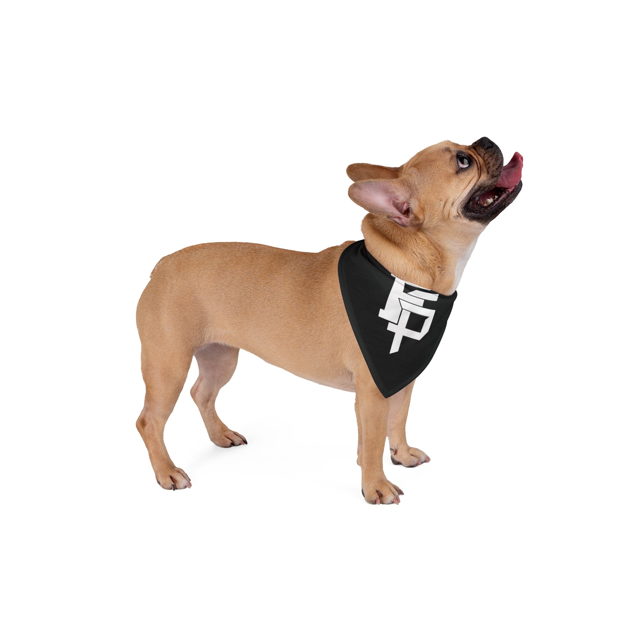 FSP BANDANA